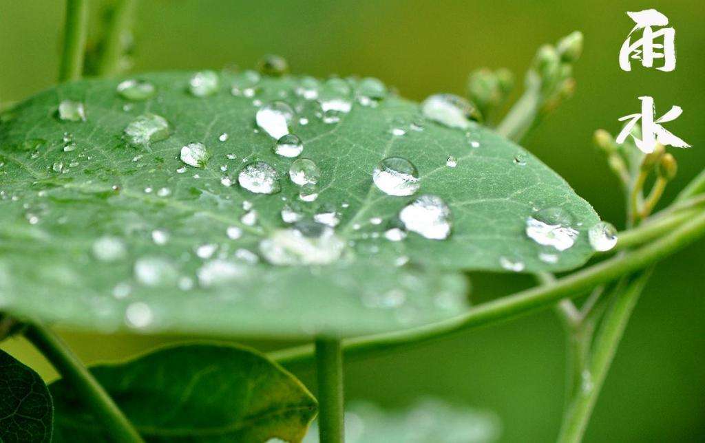 雨水潤萬(wàn)物，兼顧沙與泥！