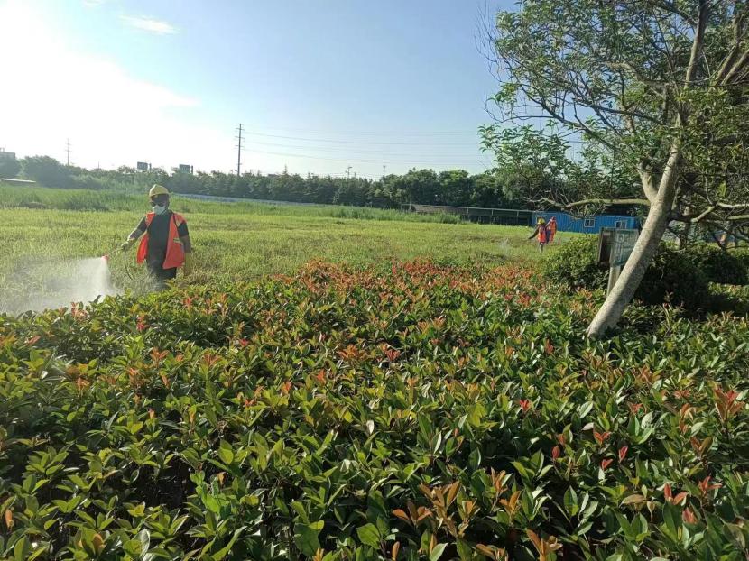 1722417879480 病蟲(chóng)害防治(04)