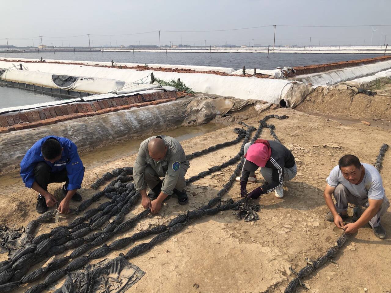 899F8B6717EE65C61CC3298B1DBF56D5.jpg 899F8B6717EE65C61CC3298B1DBF56D5.jpg